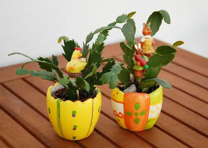 Appartamento Charming Old Stone House