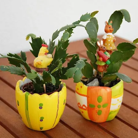 Apartamento Charming Old Stone House